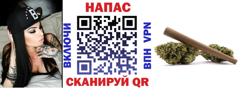 Купить закладки  Курск  Шишки марихуана марихуана 